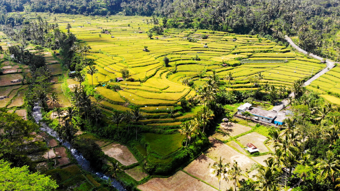 What You Need to Know About Land Zoning in Bali