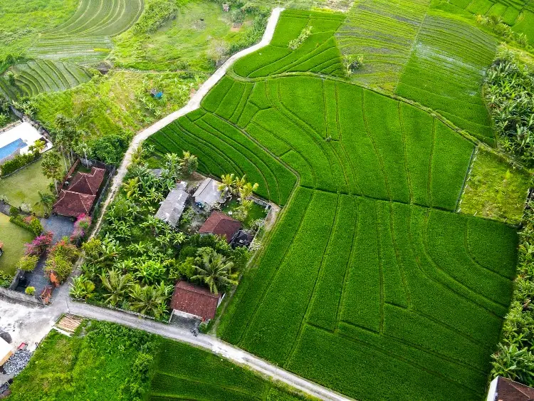 Navigating Land Purchases in Bali: A Comprehensive Due Diligence Guide